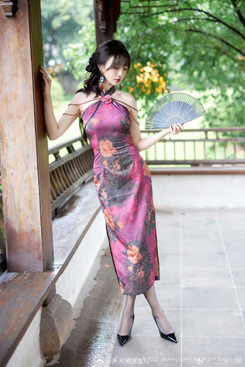 tictok plus版本信息与平台支持